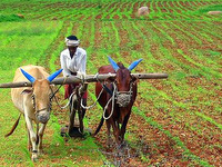 farming-india